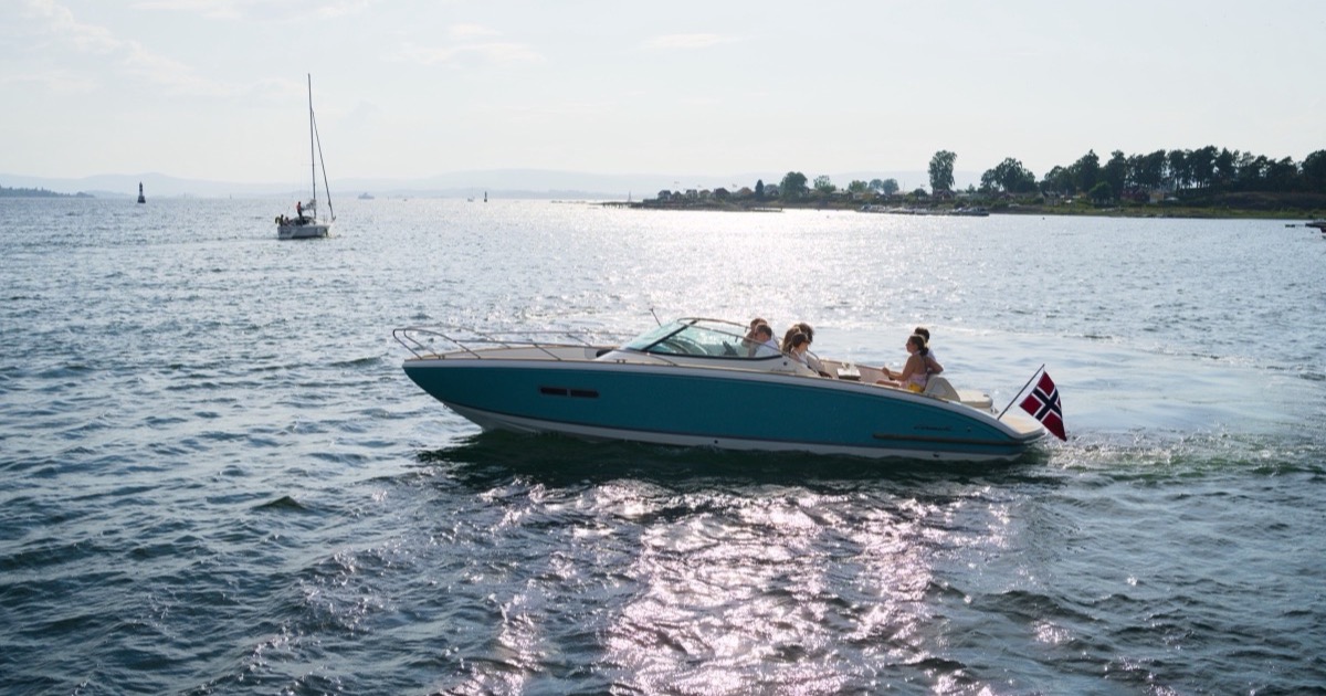 Calm water on the inner Oslofjord at first light, the conditions where harbour porpoises are easiest to spot