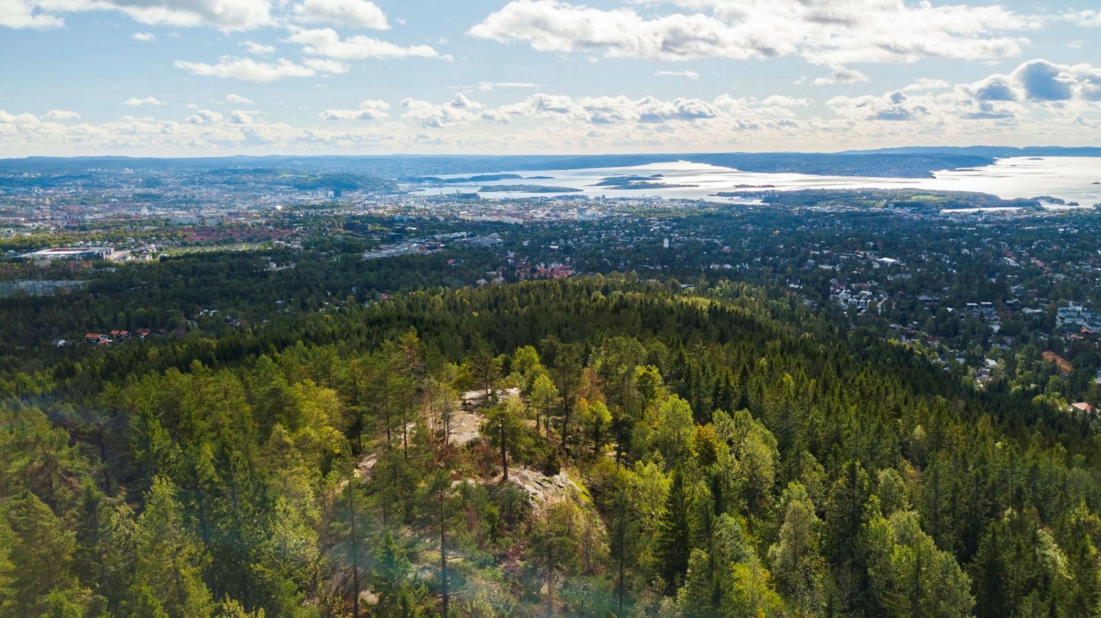 The forest above Oslo seen from the air, the city and the fjord beyond